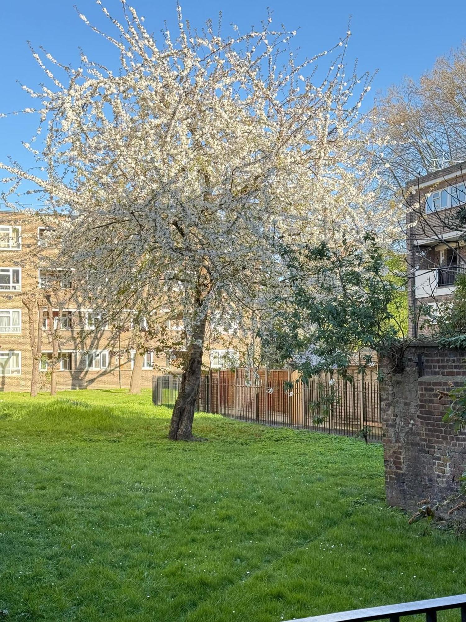 Shoreditch Apartments By Dc London Rooms Δωμάτιο φωτογραφία
